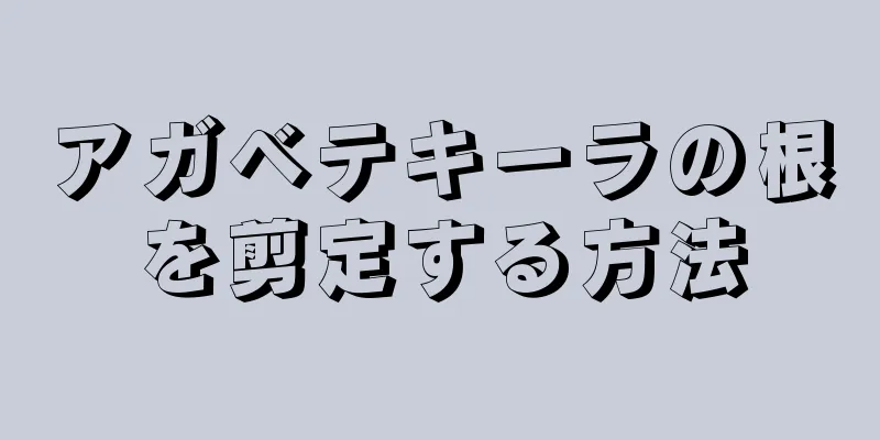 アガベテキーラの根を剪定する方法