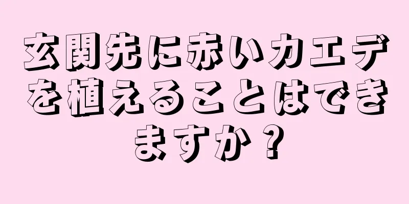 玄関先に赤いカエデを植えることはできますか？