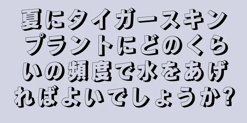 夏にタイガースキンプラントにどのくらいの頻度で水をあげればよいでしょうか?