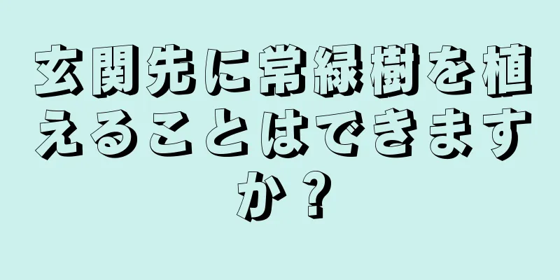 玄関先に常緑樹を植えることはできますか？