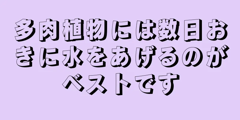 多肉植物には数日おきに水をあげるのがベストです