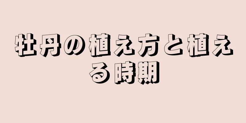 牡丹の植え方と植える時期