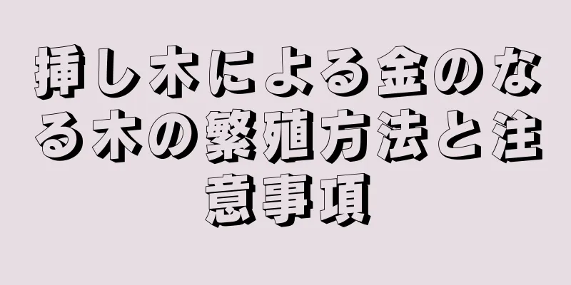 挿し木による金のなる木の繁殖方法と注意事項