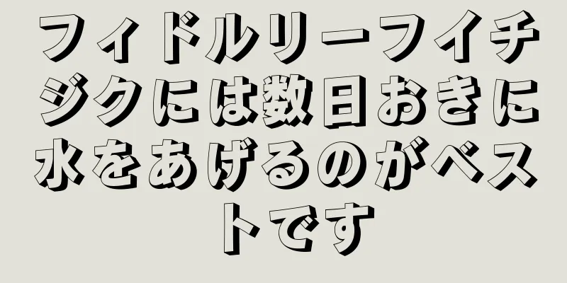 フィドルリーフイチジクには数日おきに水をあげるのがベストです