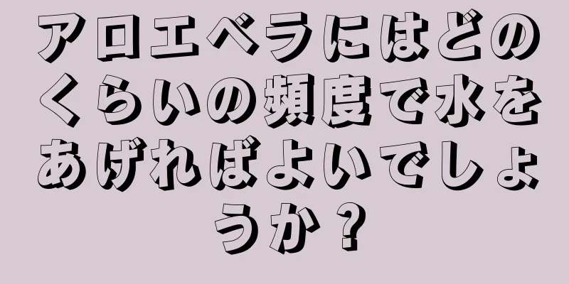 アロエベラにはどのくらいの頻度で水をあげればよいでしょうか？