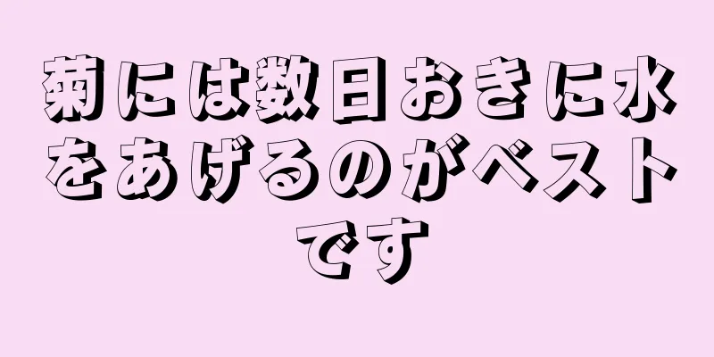 菊には数日おきに水をあげるのがベストです