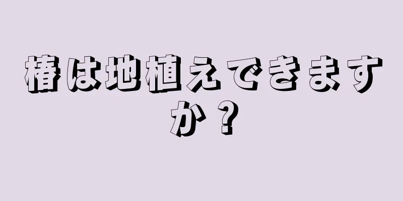 椿は地植えできますか？