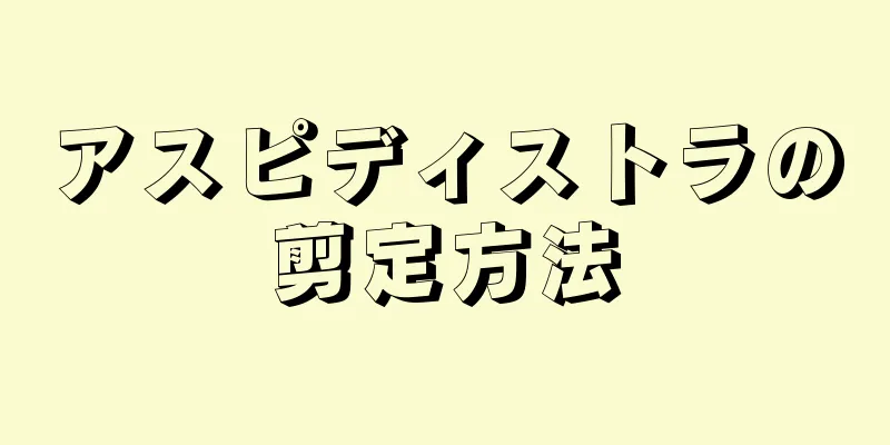 アスピディストラの剪定方法