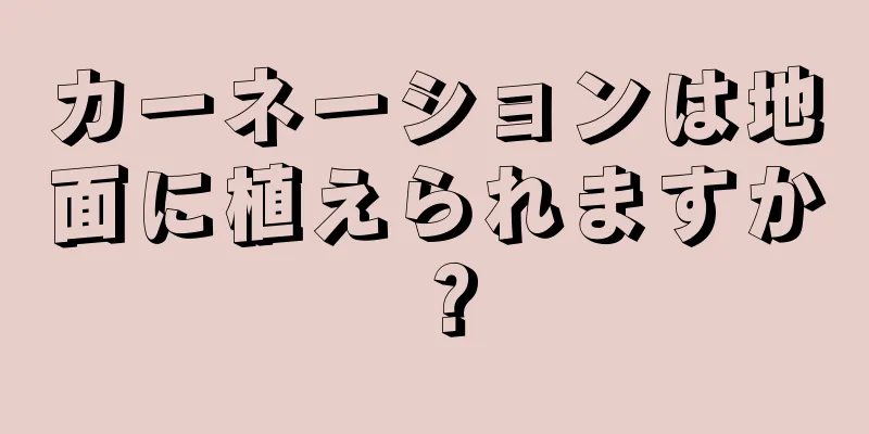 カーネーションは地面に植えられますか？