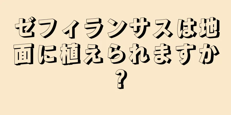 ゼフィランサスは地面に植えられますか？