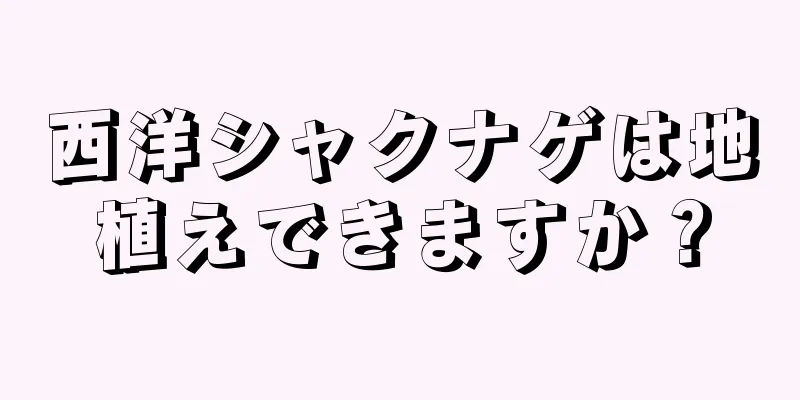 西洋シャクナゲは地植えできますか？