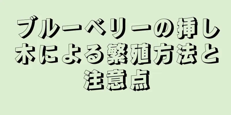 ブルーベリーの挿し木による繁殖方法と注意点
