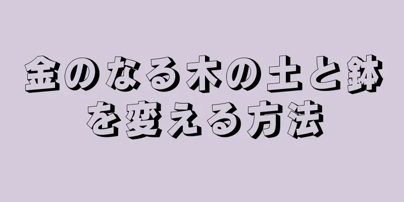 金のなる木の土と鉢を変える方法