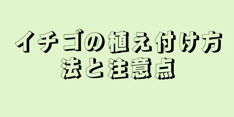 イチゴの植え付け方法と注意点