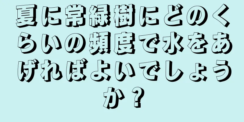 夏に常緑樹にどのくらいの頻度で水をあげればよいでしょうか？
