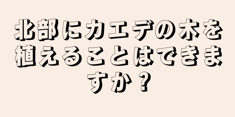 北部にカエデの木を植えることはできますか？