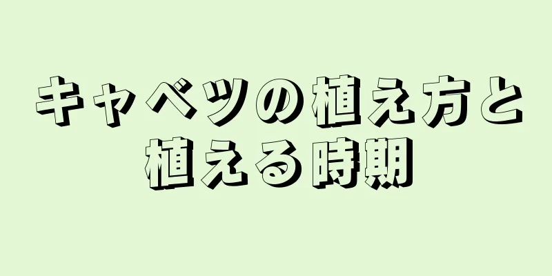 キャベツの植え方と植える時期