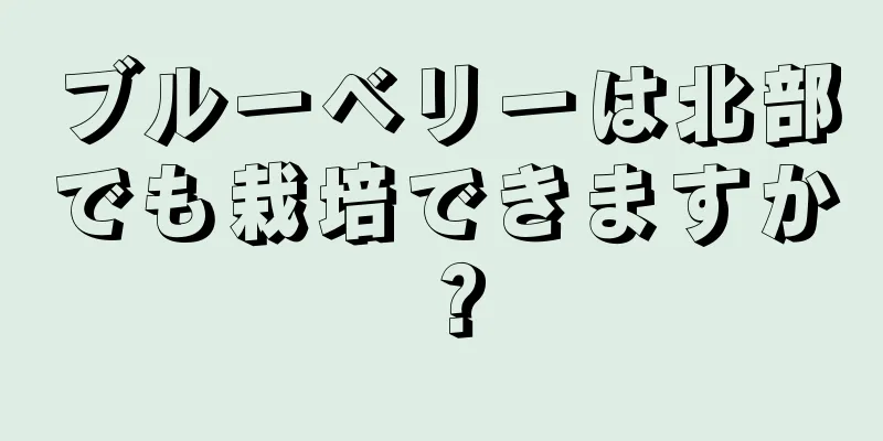 ブルーベリーは北部でも栽培できますか？