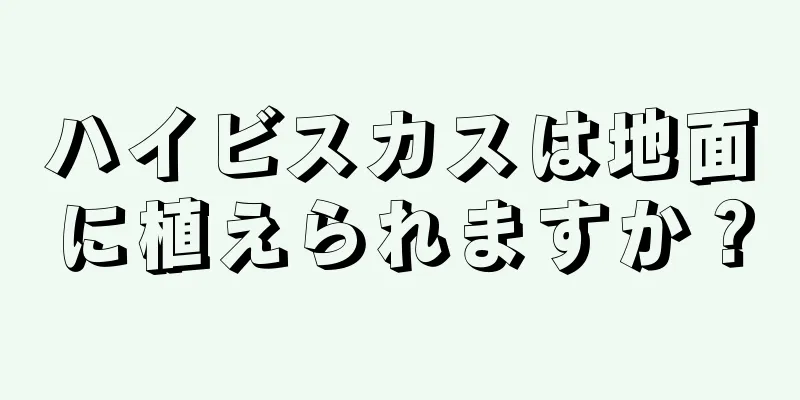 ハイビスカスは地面に植えられますか？