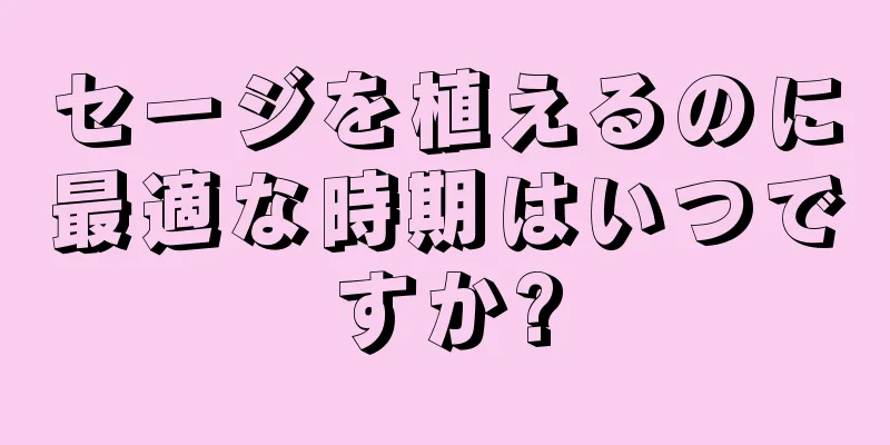 セージを植えるのに最適な時期はいつですか?