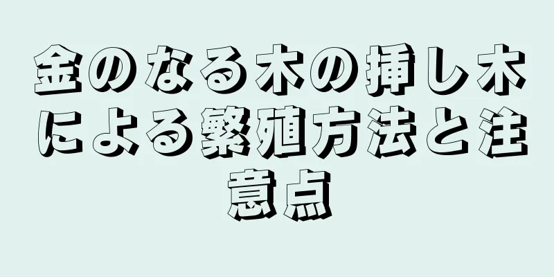 金のなる木の挿し木による繁殖方法と注意点