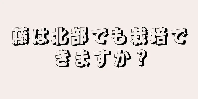 藤は北部でも栽培できますか？
