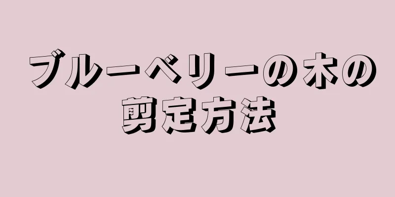 ブルーベリーの木の剪定方法