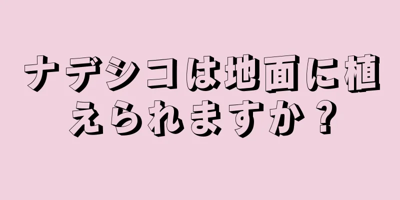 ナデシコは地面に植えられますか？