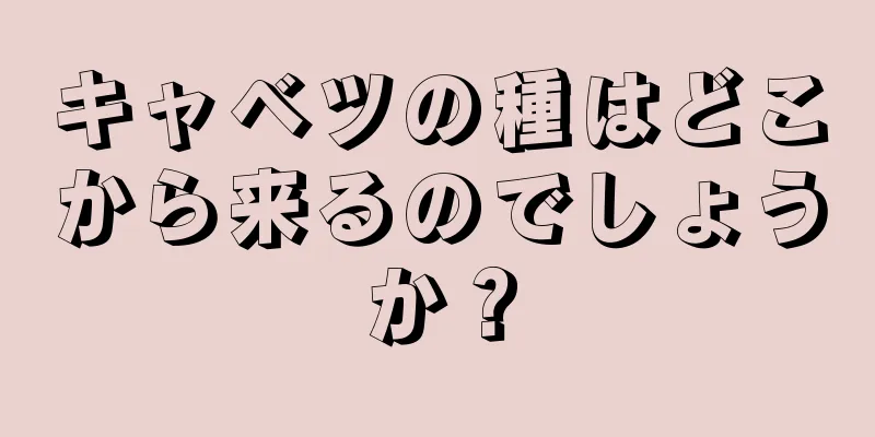 キャベツの種はどこから来るのでしょうか？