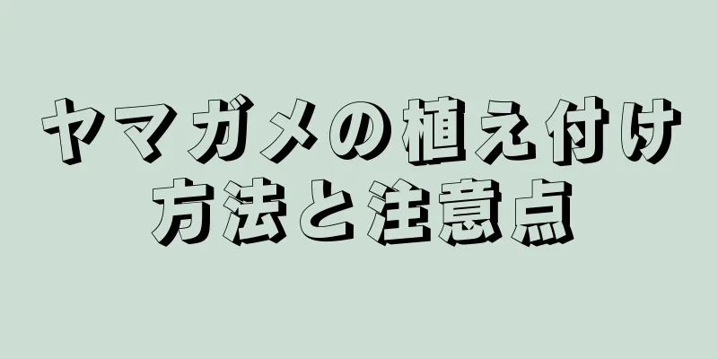 ヤマガメの植え付け方法と注意点