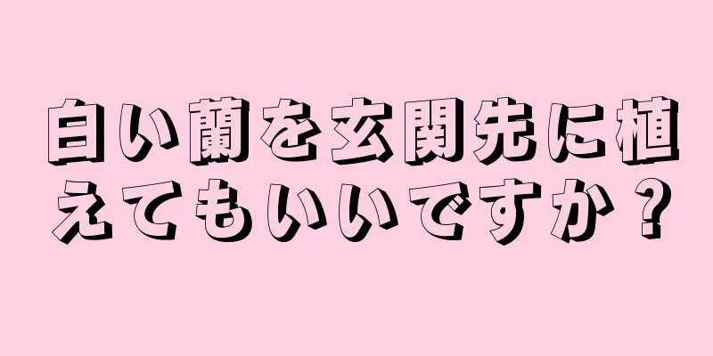 白い蘭を玄関先に植えてもいいですか？
