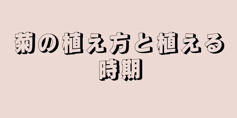 菊の植え方と植える時期