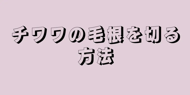 チワワの毛根を切る方法