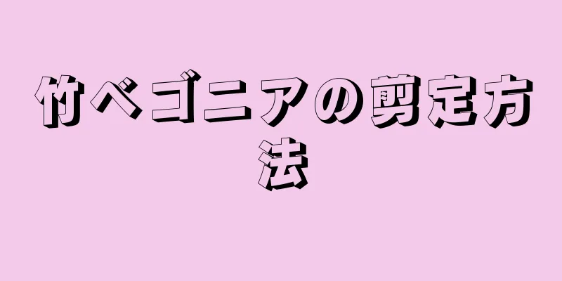 竹ベゴニアの剪定方法