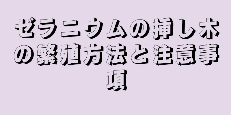 ゼラニウムの挿し木の繁殖方法と注意事項