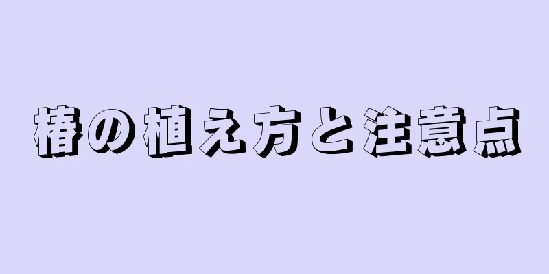 椿の植え方と注意点