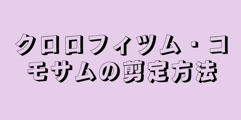 クロロフィツム・コモサムの剪定方法