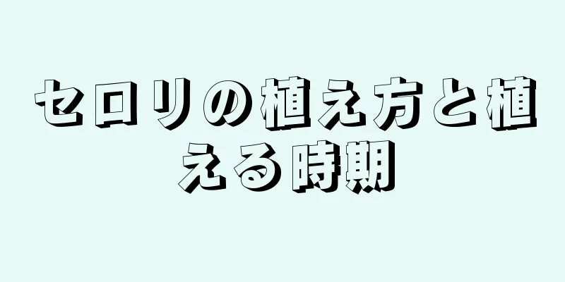 セロリの植え方と植える時期
