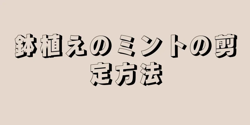 鉢植えのミントの剪定方法