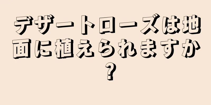 デザートローズは地面に植えられますか？