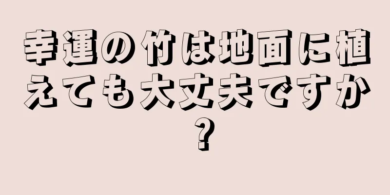 幸運の竹は地面に植えても大丈夫ですか？