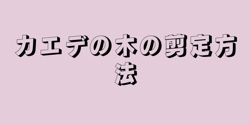 カエデの木の剪定方法