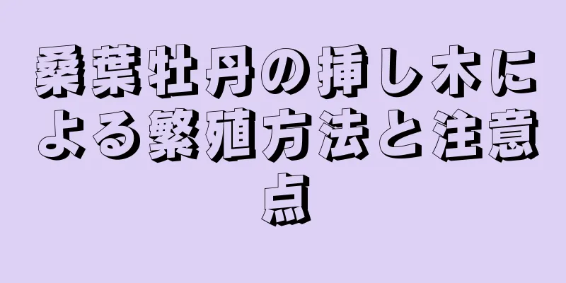 桑葉牡丹の挿し木による繁殖方法と注意点