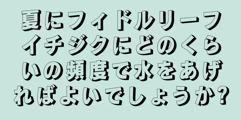 夏にフィドルリーフイチジクにどのくらいの頻度で水をあげればよいでしょうか?