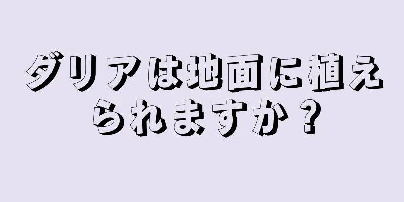 ダリアは地面に植えられますか？