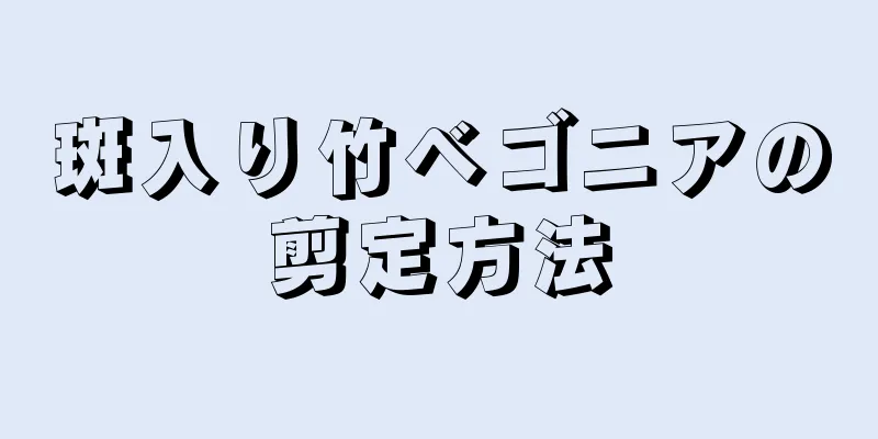斑入り竹ベゴニアの剪定方法