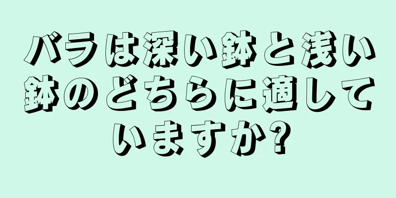 バラは深い鉢と浅い鉢のどちらに適していますか?