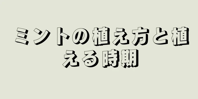 ミントの植え方と植える時期