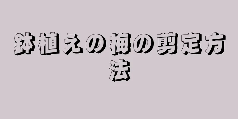 鉢植えの梅の剪定方法