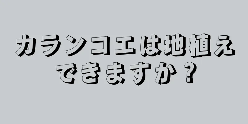 カランコエは地植えできますか？